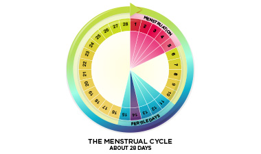 Menstrual Cycle Symptoms Chart