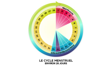 Le cycle menstruel, un formidable allié professionnel - Trends